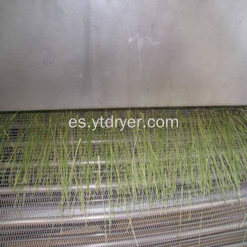 Emamectin benzoate vacuum conveyor belt drying equipment